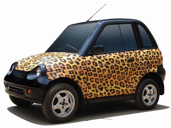 2-reva-leopard.jpg