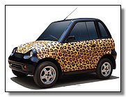 2-reva-leopard.jpg